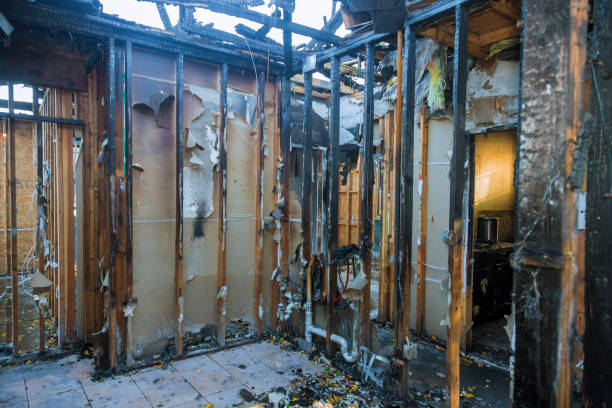 Professional Fire Damage Removal technician working in Dovesville, SC
